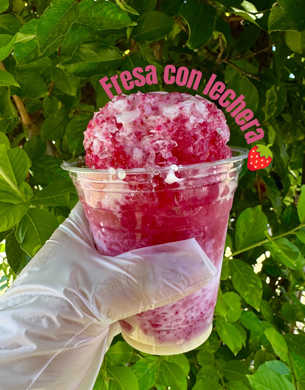 Fresa con lechera de La Joya